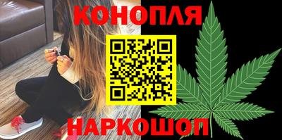 spice Аша